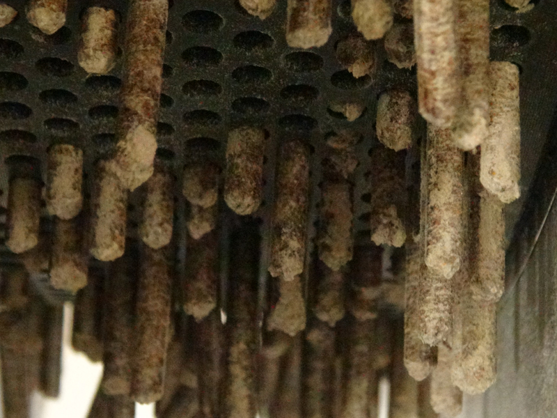Hamer pellets drying